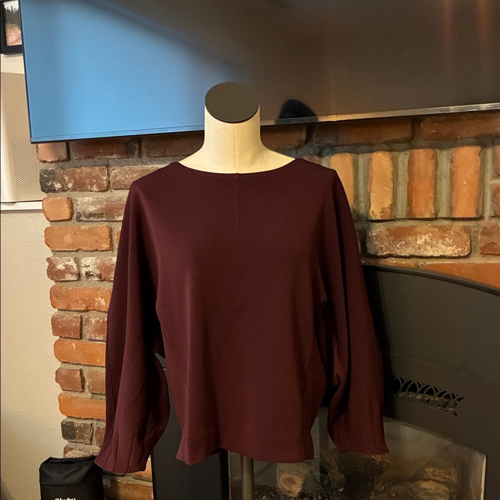 Ann Taylor Deep Burgundy Blouse